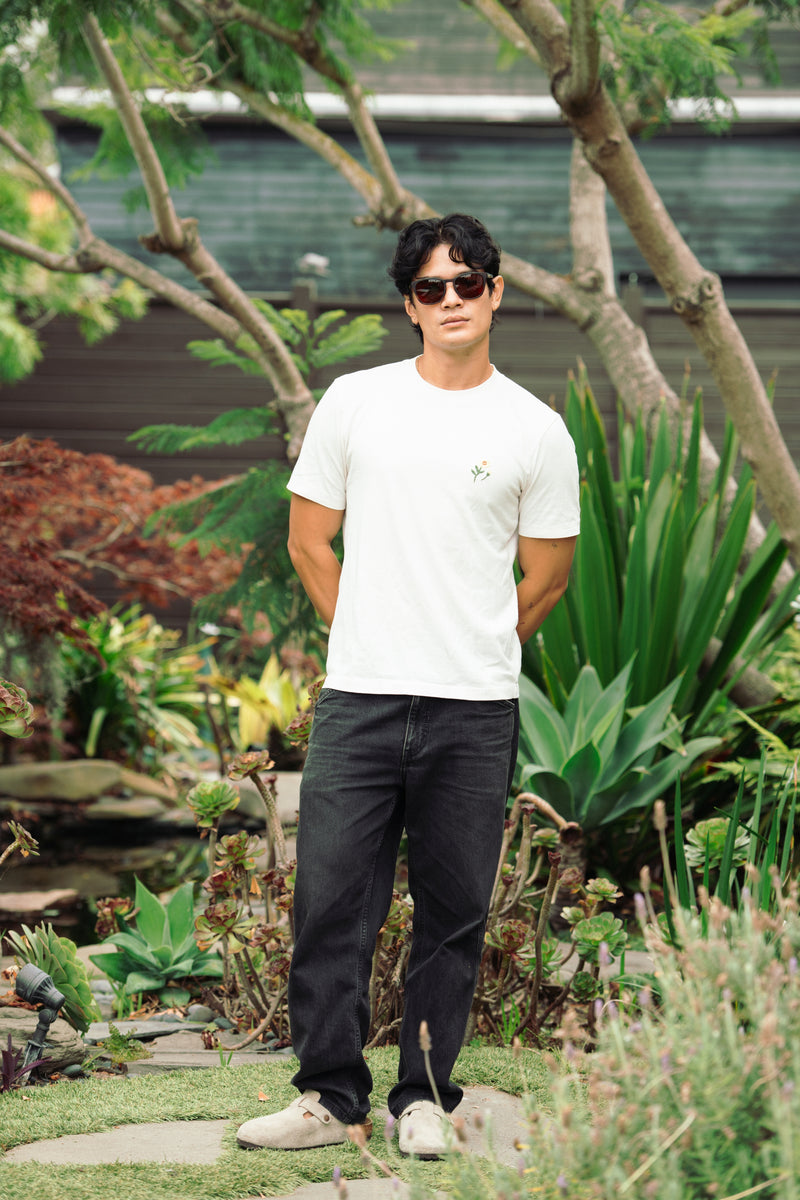 Extra photo for Belmont Polarized in Demi-Tortoise