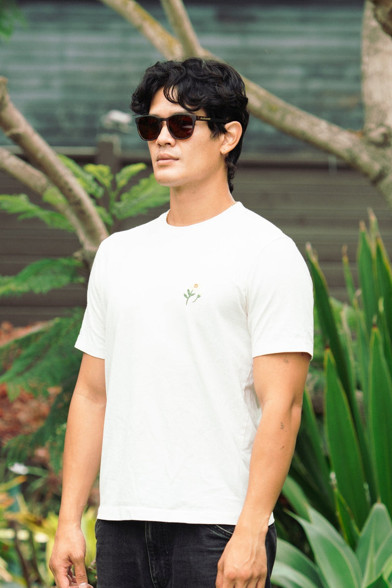 Extra photo for Belmont Polarized in Demi-Tortoise