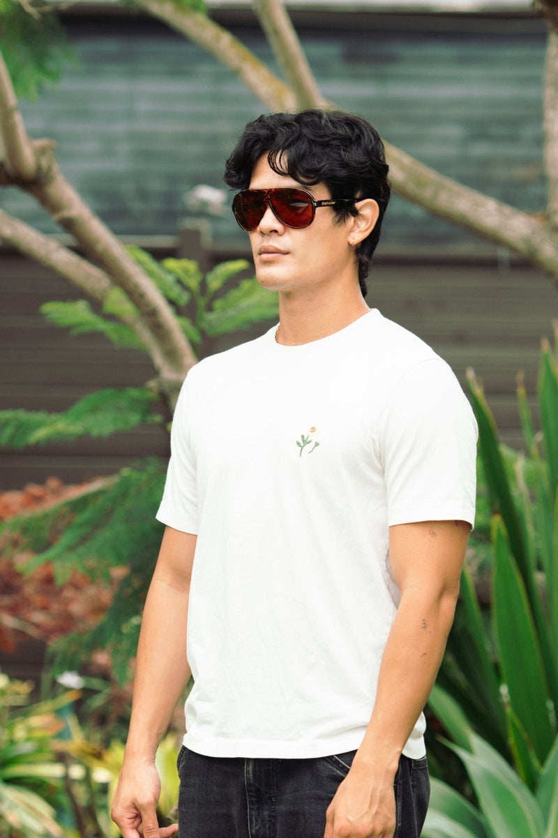 Extra photo for Original Aviator Polarized in Demi-Tortoise