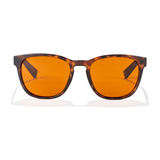 Belmont Polarized in Demi-Tortoise