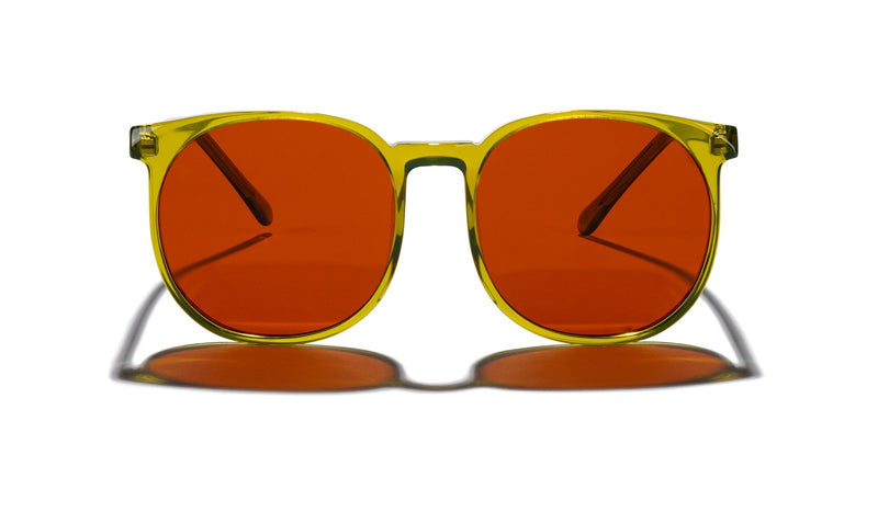 McGill Polarized with Acetate Frame in Seaweed Green