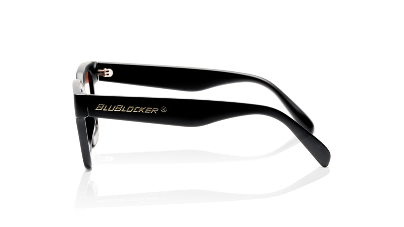 Montrose in Glossy Black with HD Gray Lenses