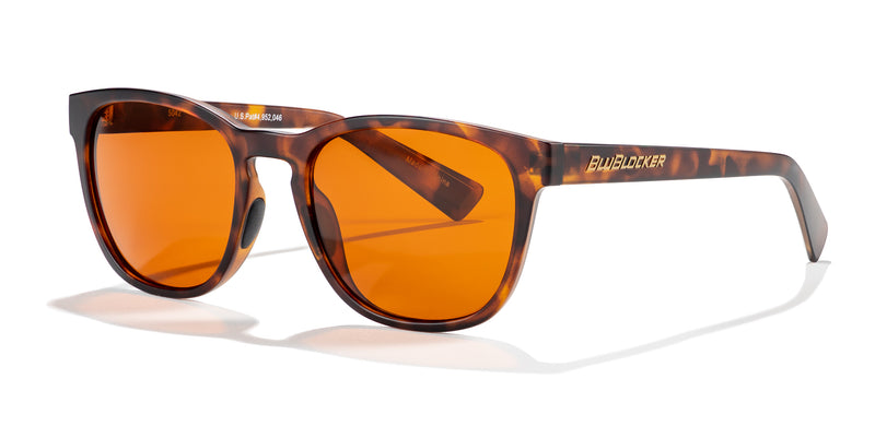 Belmont Polarized in Demi-Tortoise