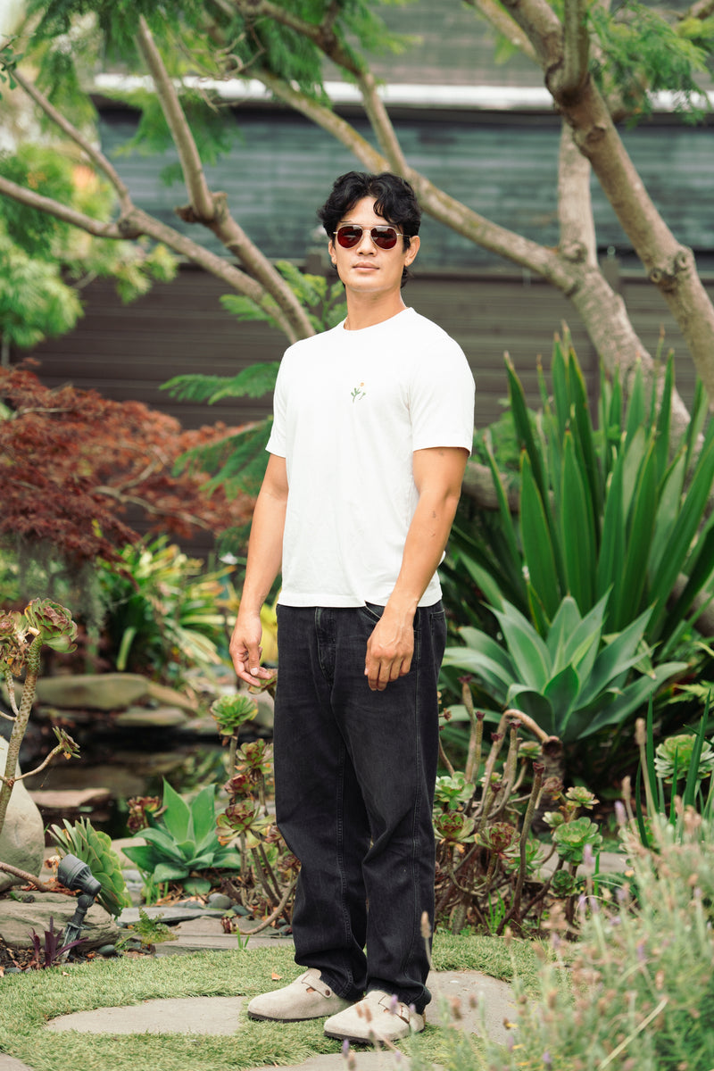 Extra photo for AirBoss in Silver