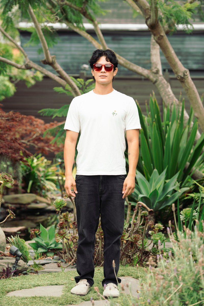 Extra photo for McGill Polarized in Red