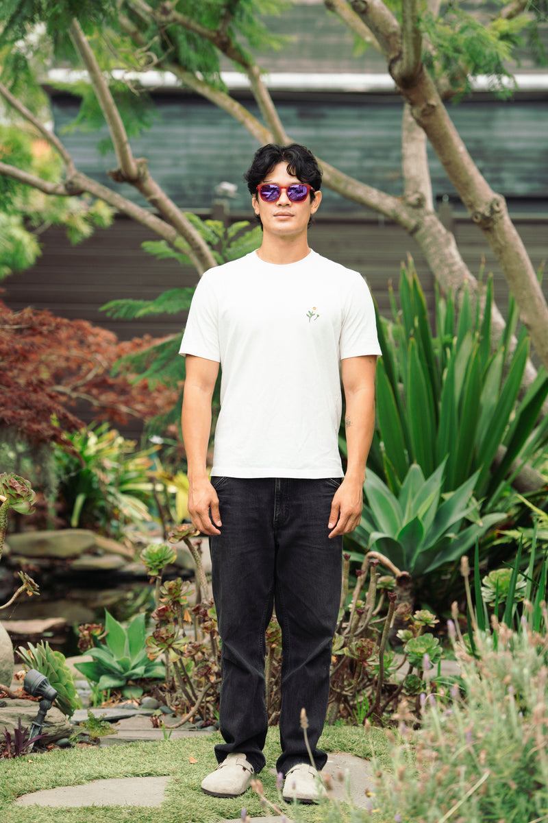 Extra photo for Belmont Polarized in Crystal Red