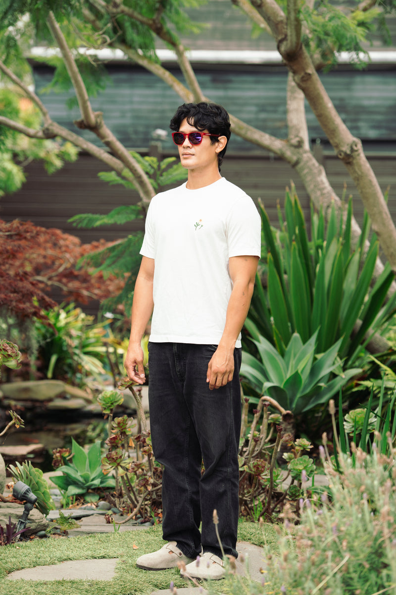 Extra photo for Belmont Polarized in Crystal Red