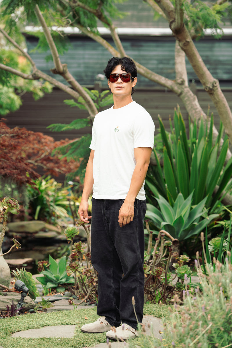 Extra photo for Original Aviator in Demi-Tortoise