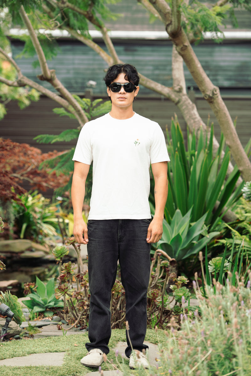 Extra photo for ColorVision 88 With HD Gray Lenses