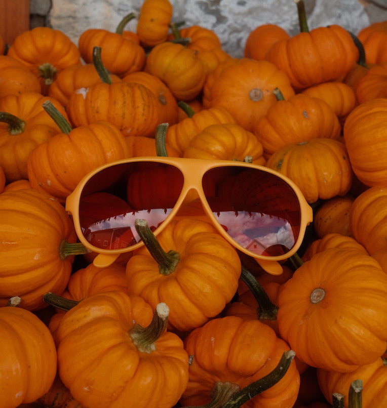 Original Aviator in Pumpkin Spice