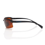 Eagle in Black Polarized
