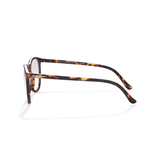 Hyde Park Tech Glasses in Demi-Tortoise