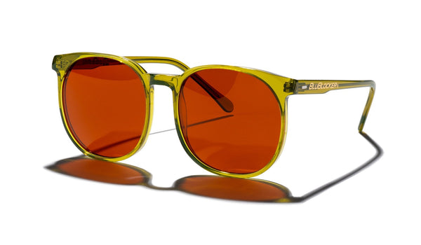 McGill Polarized with Acetate Frame in Seaweed Green